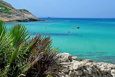 maiorca