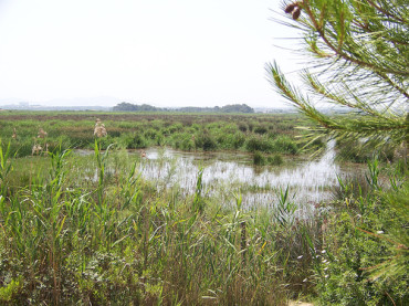 I Parchi Naturali a Maiorca