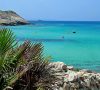Maiorca