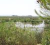 Parchi Naturali a Maiorca
